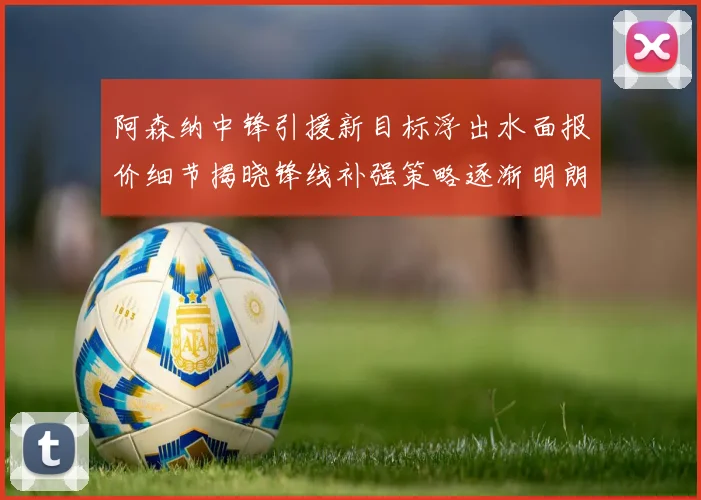 阿森纳中锋引援新目标浮出水面报价细节揭晓锋线补强策略逐渐明朗